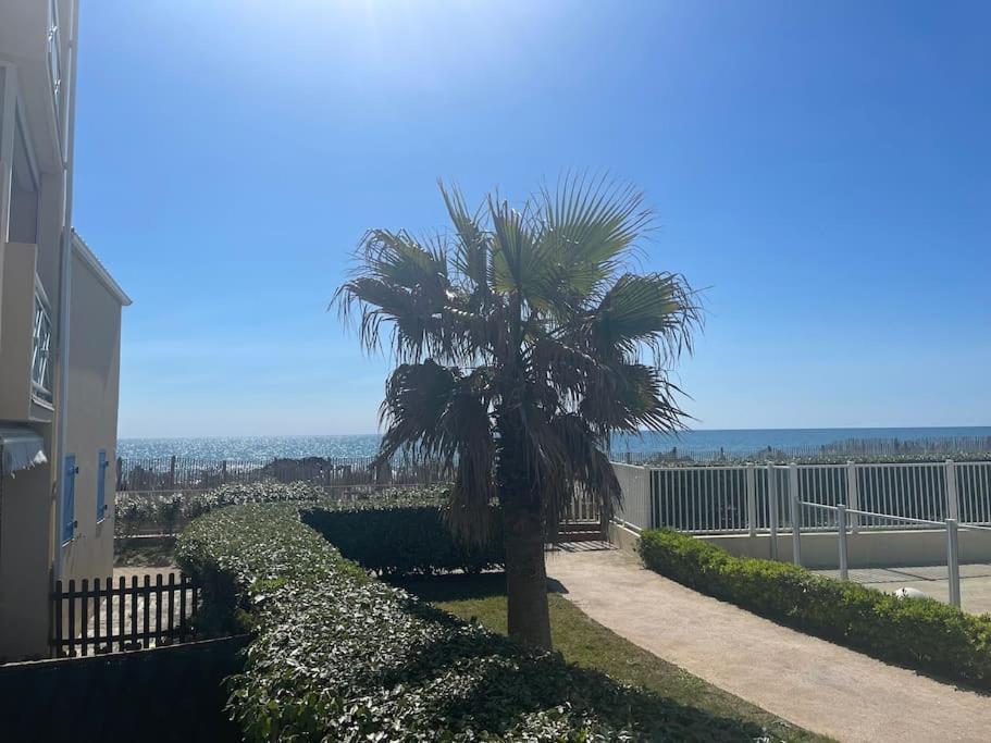 Appart Frontignan Sur La Plage, Piscine, Wifi, Tv, Netflix المظهر الخارجي الصورة
